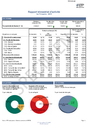 Exemple de rapport / Sample report