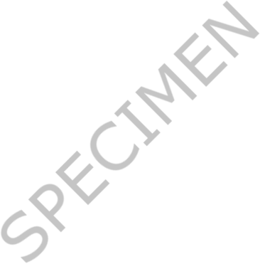 Exemple de rapport / Sample report